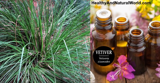 How to Use Vetiver Oil for Great Health