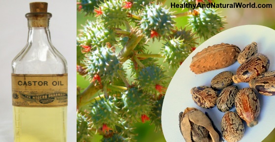 The Amazing Health Benefits and Uses of Castor Oil