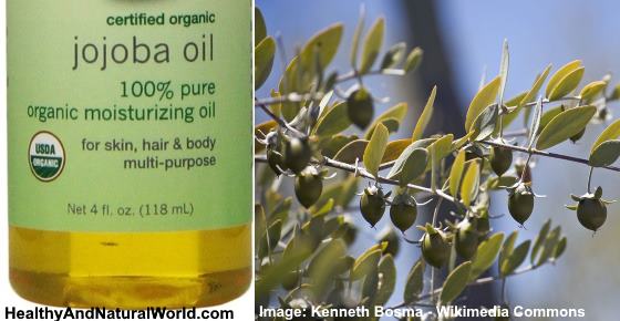 The Most Amazing Benefits of Jojoba Oil for Your Hair and Skin