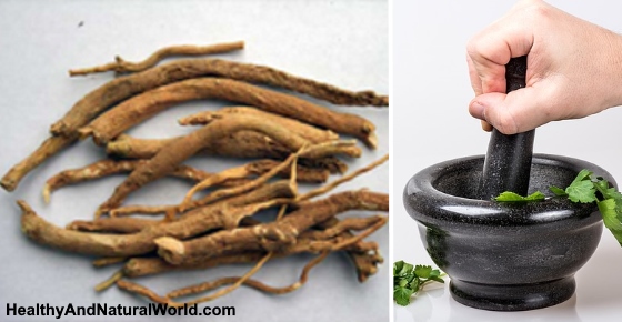 The Health Benefits and Uses of Ashwagandha