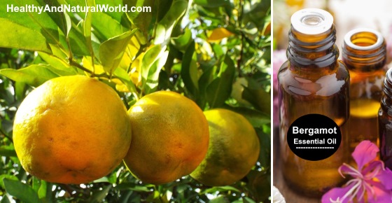 Bergamot Essential Oil - Health Benefits and Uses