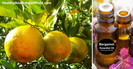 Bergamot Essential Oil - Health Benefits and Uses