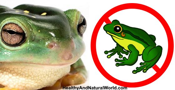 How to Get Rid of Frogs - The Best Natural Ways