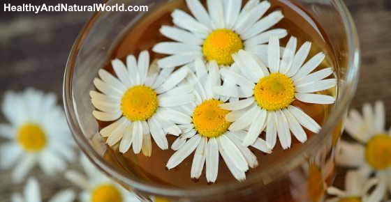 Chamomile Tea Benefits and How to Use It for Great Health