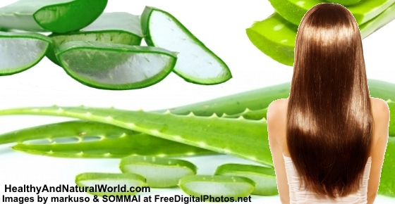 Aloe vera juice and gel for hair