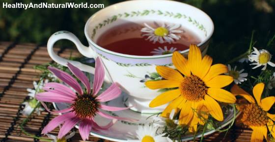 Echinacea Tea Benefits And How To Use It For Great Health