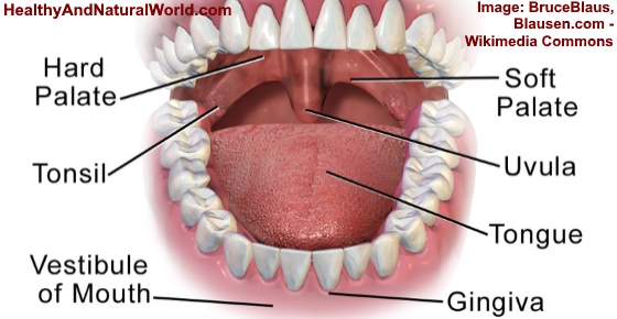 Swollen Uvula Uvulitis Causes Symptoms And Effective Remedies