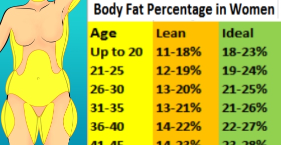 Body Fat Percentage Chart and How to Measure It