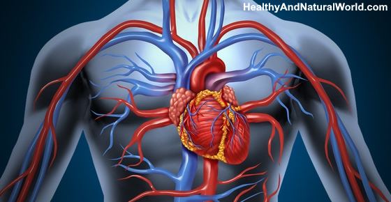 Where is the Heart Located? (Including Heart Attack Symptoms)