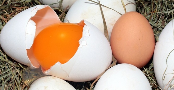 How Many Calories Are in An Egg? And Why You Should Eat More Eggs