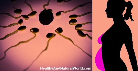 How Long Can Sperm Live and How to Naturally Improve Its Lifespan