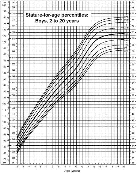 Mens Growth Chart