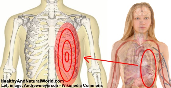Pain Under Left Rib Cage: Common Causes and Treatments
