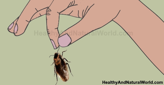 Cockroach Bites: Facts, Prevention and Simple Treatment Options
