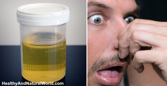 Ammonia Smell in Urine - Causes and What to Do