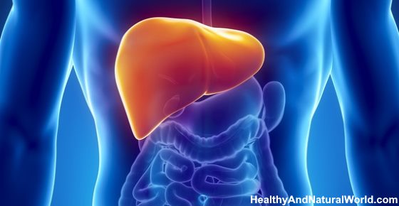 Where Is Your Liver Located And What Causes Liver Pain