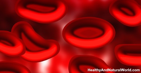 MCHC Blood Test: What Does It Mean?