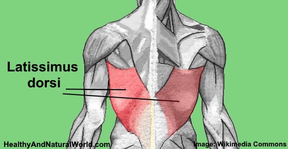 Latissimus Dorsi Pain: Causes and Effective Natural Treatments