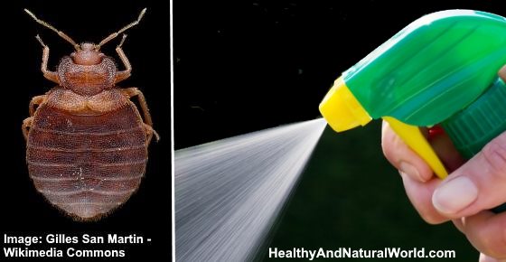 The Best Bed Bug Sprays to Kill Bed Bugs Fast