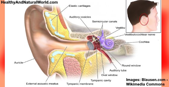 Sharp Pain in Ear: Causes, Treatments and When to See a Doctor