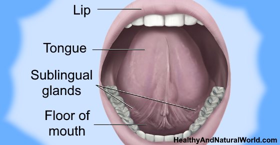 Painful Sores, Bumps or Blisters Under Tongue: Causes and Treatments