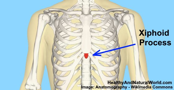 Xiphoid Process Pain: Causes, Symptoms & When to See a Doctor