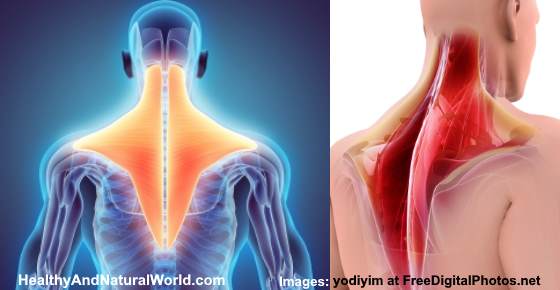 Trapezius Strain: Causes, Symptoms, and Effective Home Remedies to Relieve Pain