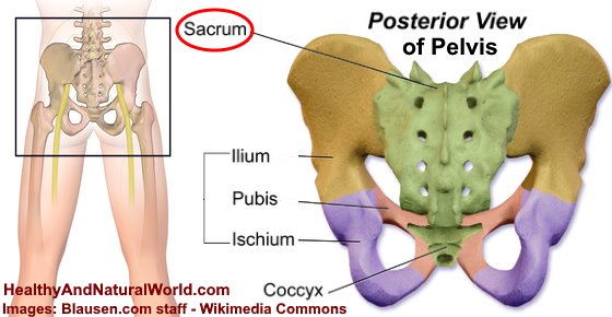 Sacrum Pain and Low Back Pain