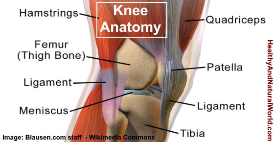 Pain Behind the Knee: Causes, How to Treat It and When to See a Doctor