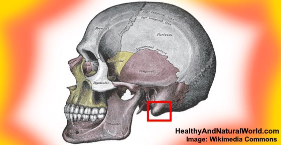 Mastoid Process: Location, Function and Pain