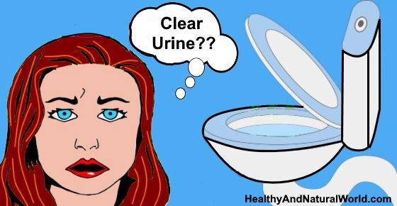 Clear Urine: What Does It Mean and Is It a Reason for Concern?