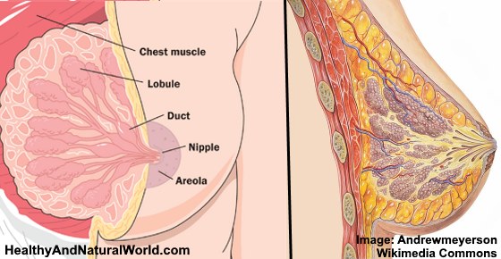 Sore Nipples: 16 Reasons Why Your Nipples Hurt and What to Do About It