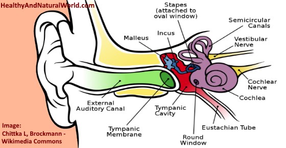 Popping, Clicking or Crackling Sound in Ear: What Does It Mean?