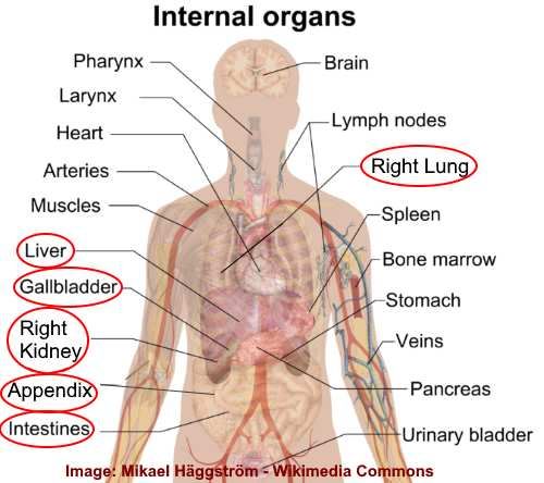 Right Side Abdominal Pain: Causes, When to See a Doctor ...