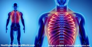 ribs rib pain thoracique costole illustrazione schma ribben medisch humain douleurs coeur healthyandnaturalworld rampe vertebres stabbing