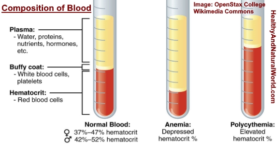 Hematocrit (Hct) Blood Test: What Does Low or High Hct Levels Mean?