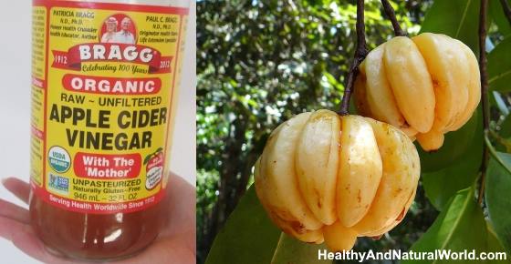 Garcinia Cambogia and Apple Cider Vinegar Diet