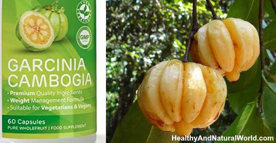 The Truth about Garcinia Cambogia Based on Science