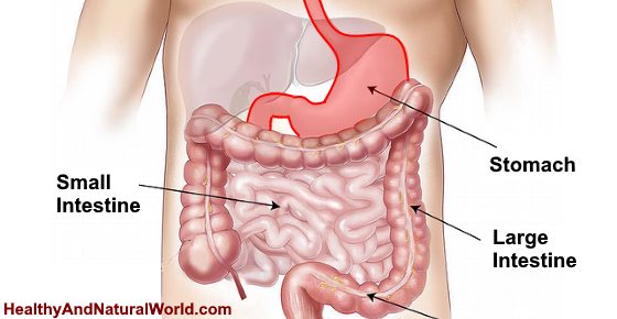 Excess Stomach Acid (Hyperchlorhydria): Causes, Symptoms and How to Lower It