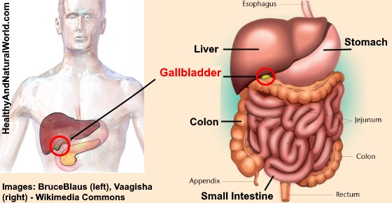 The Most Likely Symptoms of a Gallbladder Issue