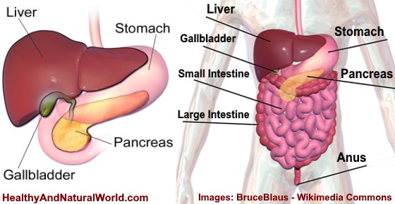 Gallbladder Removal Side Effects - Including Weight Loss or Gain