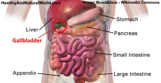 Best Diet After Gallbladder Removal (Cholecystectomy)