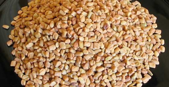 Scientifically Proven Benefits of Fenugreek and Its Side Effects (Including Fenugreek Tea Recipe)