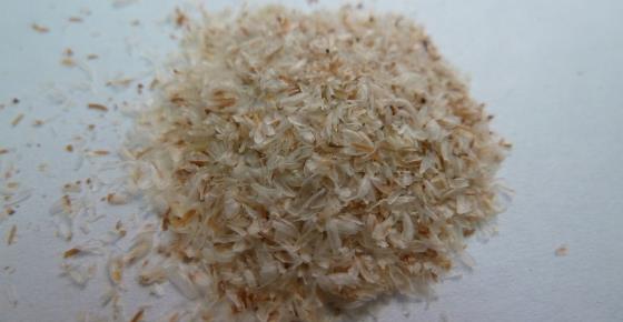 Scientifically Proven Benefits of Psyllium (Husk, Powder, and Capsules)