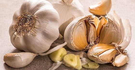 Medicinal Health Benefits of Garlic (Raw, Supplement)