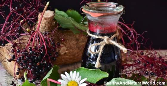 Benefits of Elderberry and Elderberry Syrup
