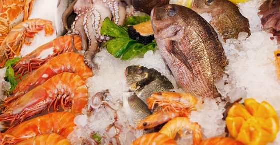 The Dangers of Farmed Fish and Imported Shrimps