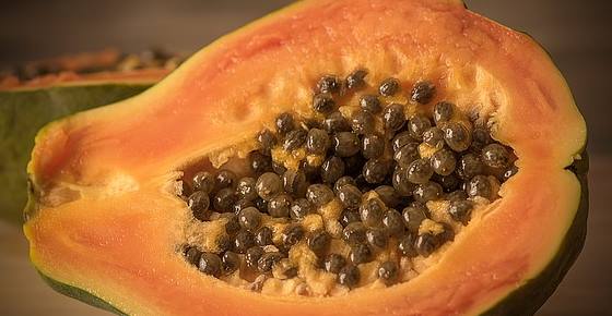 Scientifically Proven Health Benefits of Papaya (Fruit) + Uses for the Seeds