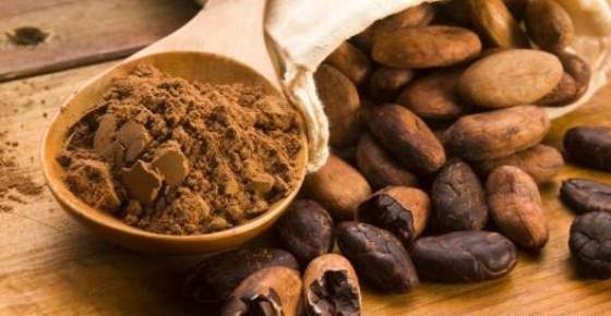 Scientifically Proven Health Benefits of Cacao Powder and Dark Chocolate