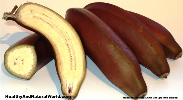 red banana benefits